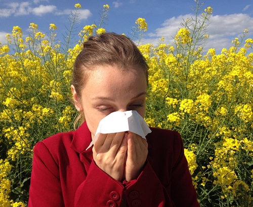allergie ai pollini